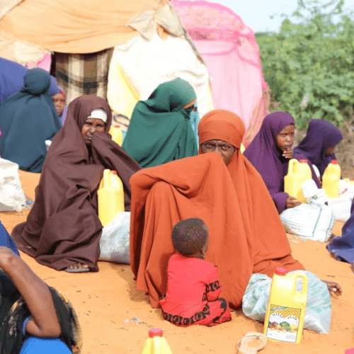 Sustaining Lives in Somalia