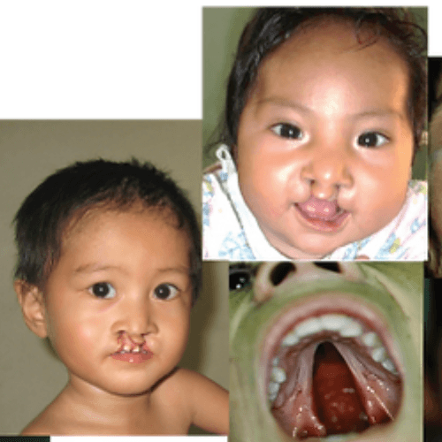 The One Ummah Foundation’s Partnership with CLAPP