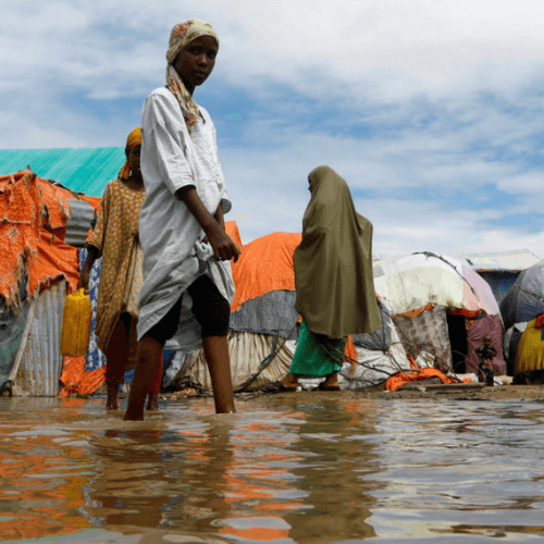 One Ummah Foundation's Aid Efforts in Barawa, Somalia