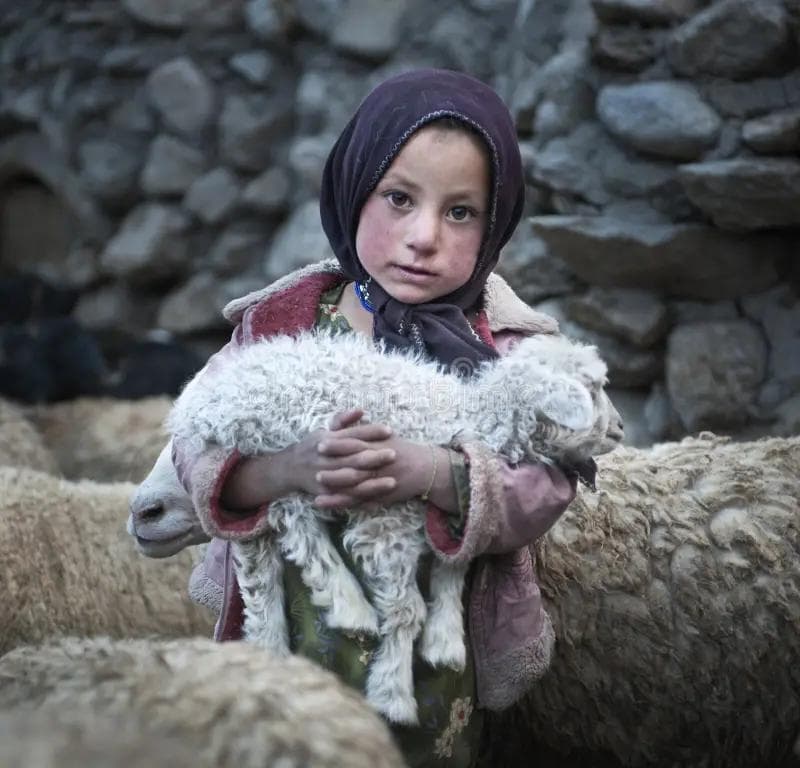 One Ummah Shares Qurbani With Needy Families